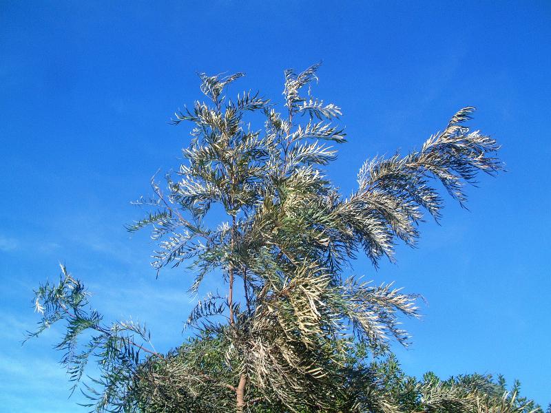 [DSCF0432.JPG]