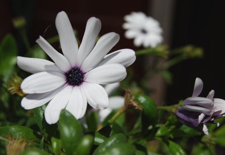 [DSC_0183.JPG]