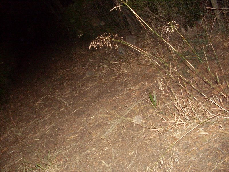 [SDC11464.JPG]