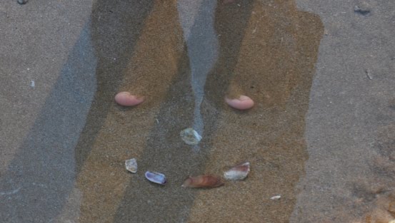 [DSC_0787.JPG]