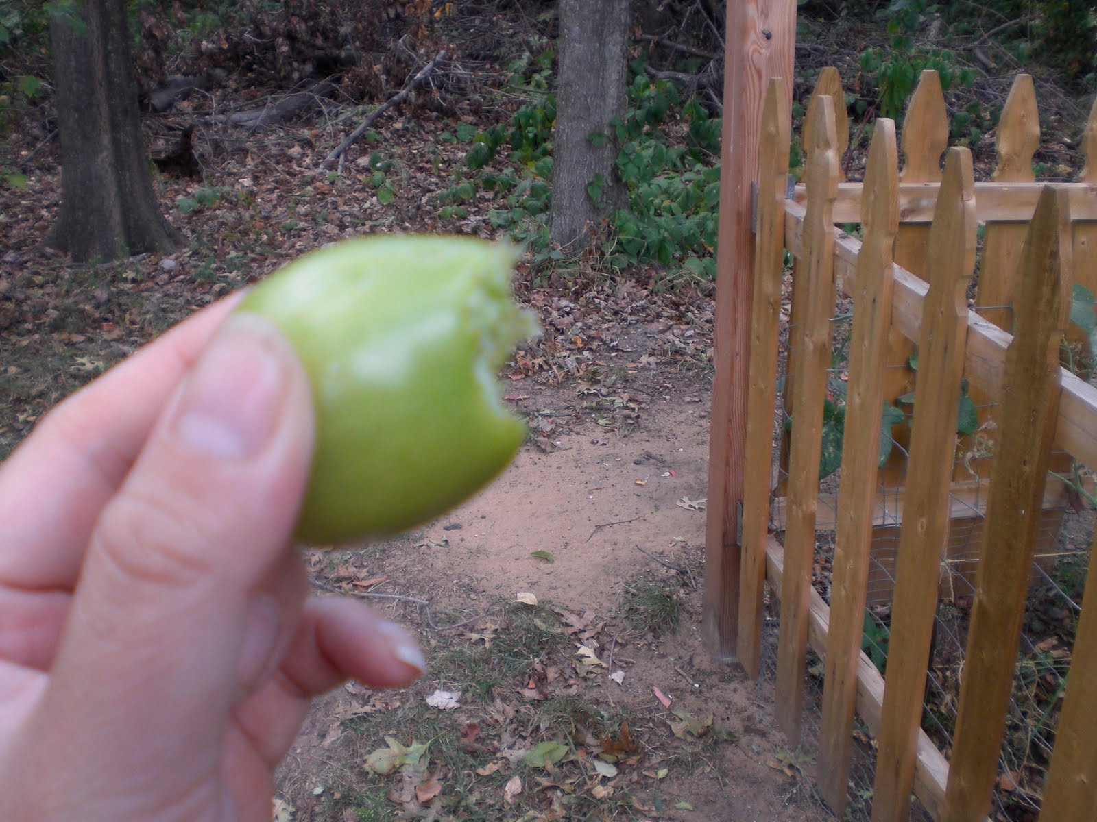 gardening in the boroughs of nyc Dear Squirrel, This is WAR!
