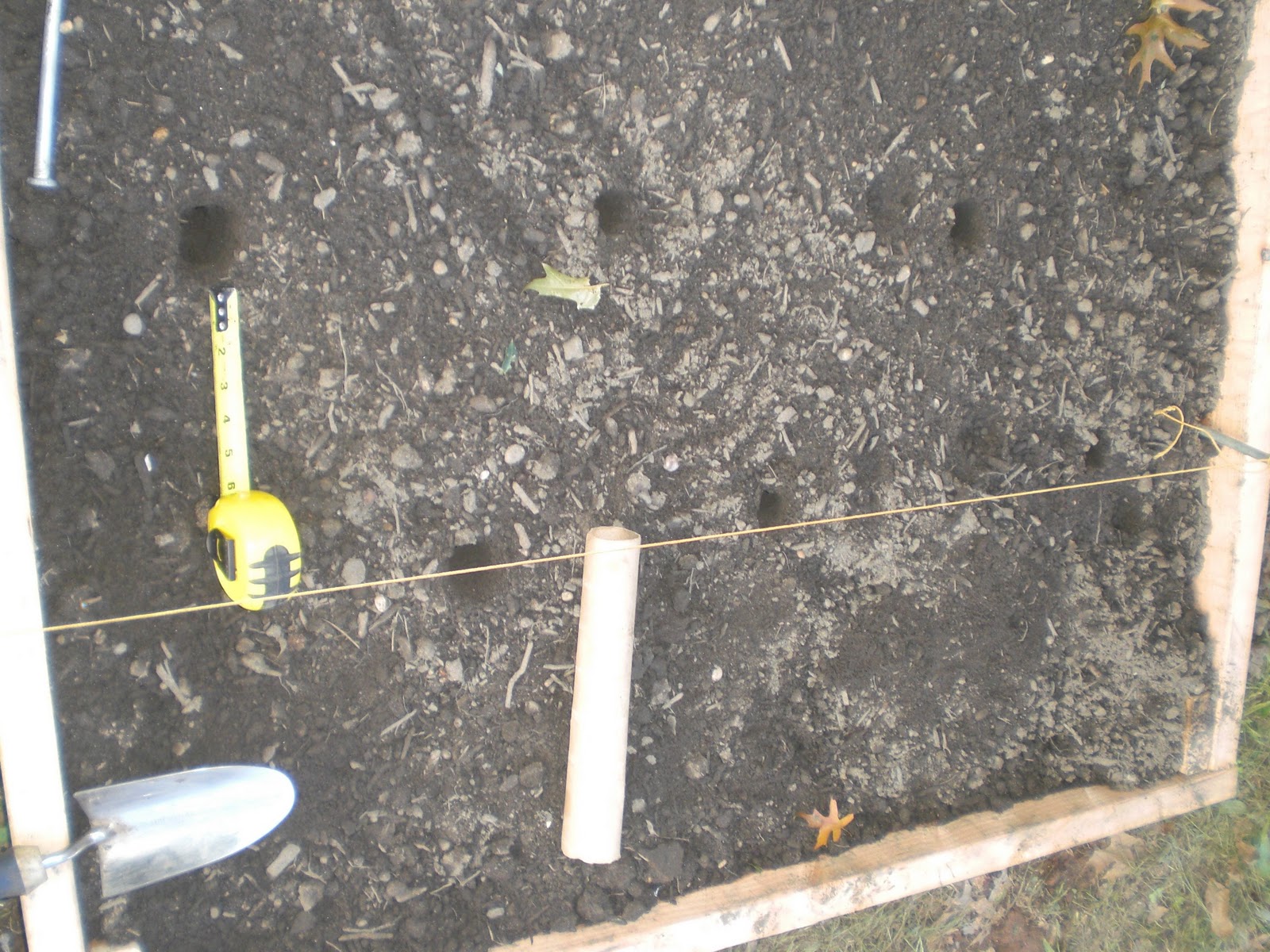 gardening in the boroughs of nyc Planting Garlic in Raised Beds