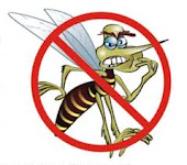 Os Alunos Contra a Dengue