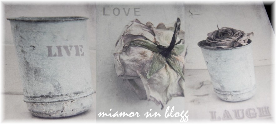 Miamor