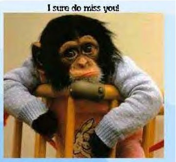 http://1.bp.blogspot.com/_h21BxFaWQJo/RlqjT5IRxNI/AAAAAAAAAQc/RN8seSO7cwM/s400/monkey..i+sure+do+miss+u.bmp