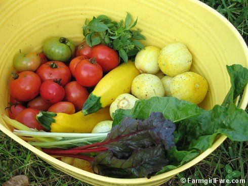 Grow Bag Gardening - a Simple Way to Grow Your Own Food - GardensAll