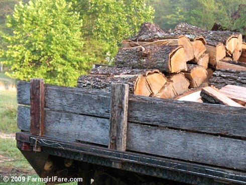 firewood cutting