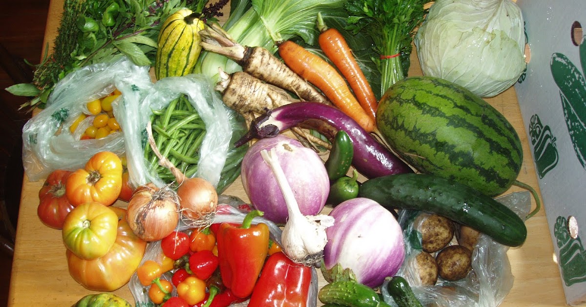 Kicking Mule Farm CSA Week 17 goodies