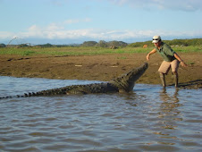Costa Rica Crocodile Tours