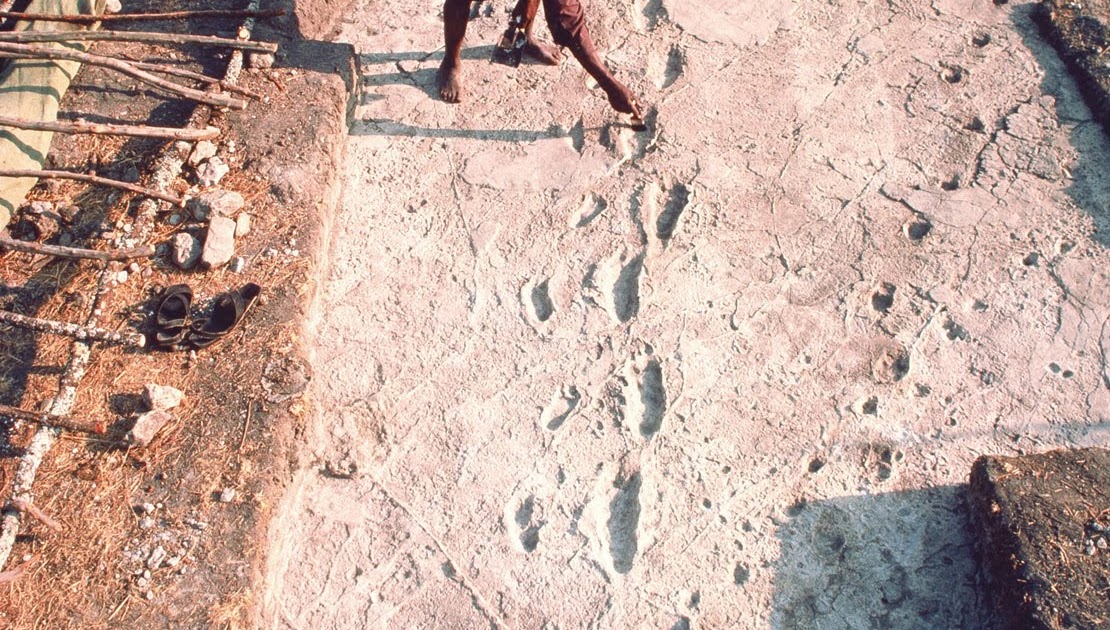 Science and Religion: A View from an Evolutionary Creationist: Laetoli