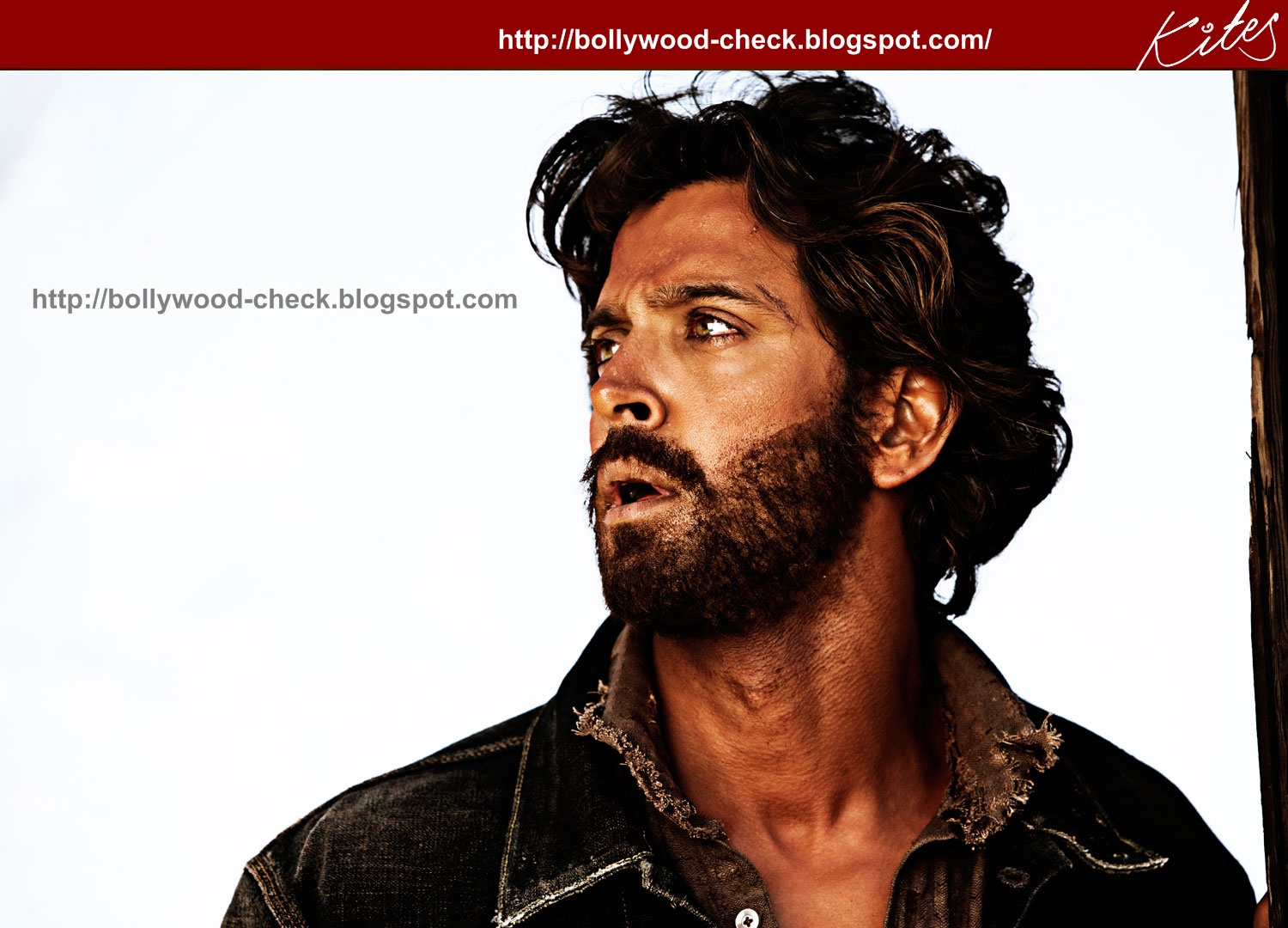 hrithik roshan english film bollywood check kites movie first look and hq hrithik roshan english film bollywood check kites movie first look and hq