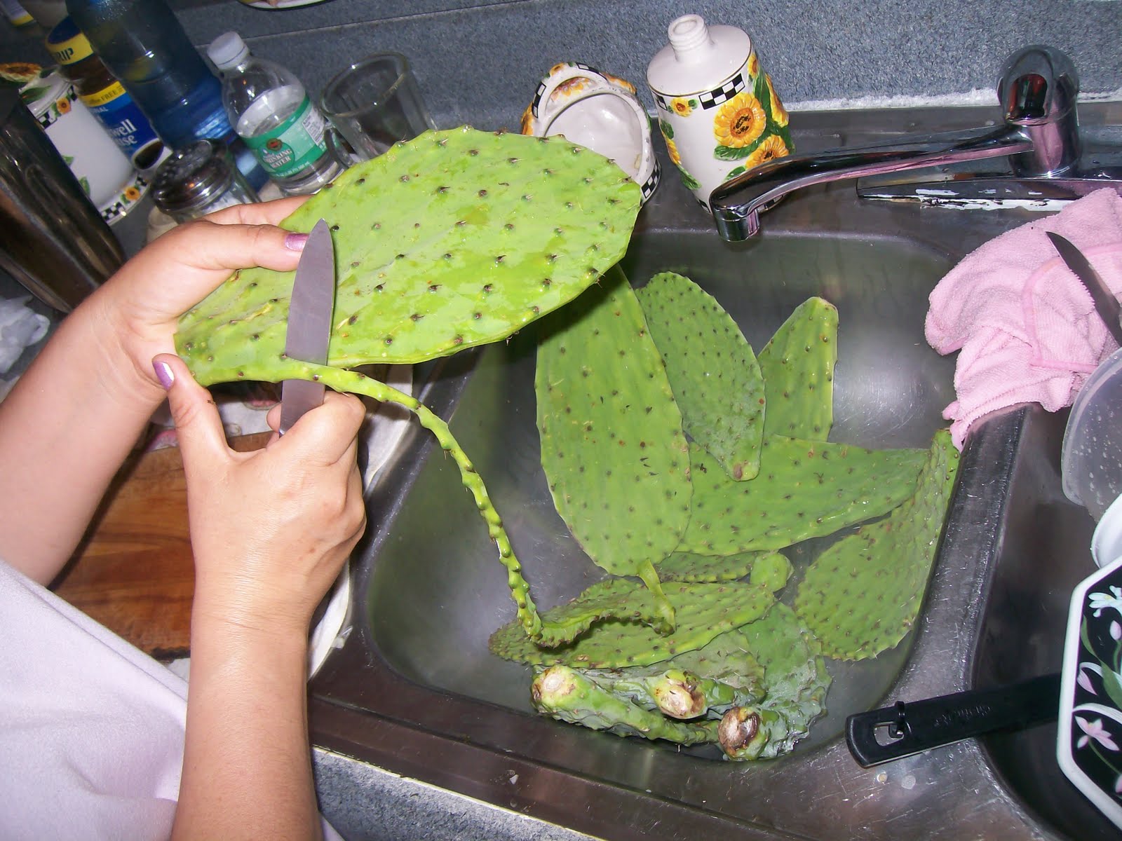 cactus-pads