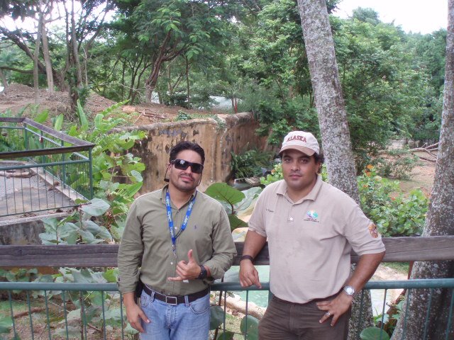 [PA060128.JPG]