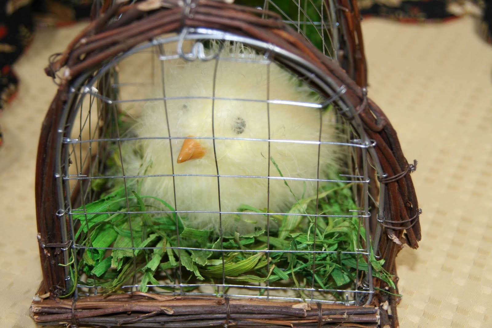 http://1.bp.blogspot.com/_h6D13_4JxwA/S6z4vSzVPzI/AAAAAAAAGFY/hwRyosA-lNg/s1600/CHICKEN-FOR-EASTER-IN-CAGE.jpg