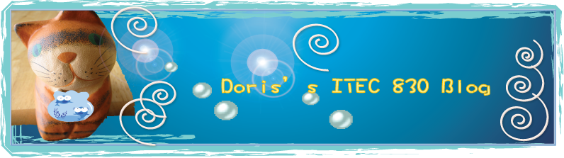 Doris's ITEC830 Blog