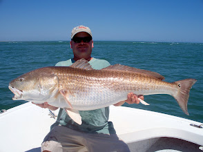 Giant Drum on Light Tackle