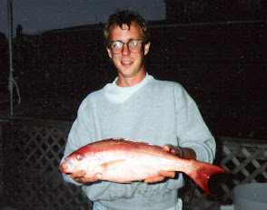 Vermillion Snapper