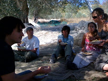 picnic idyll