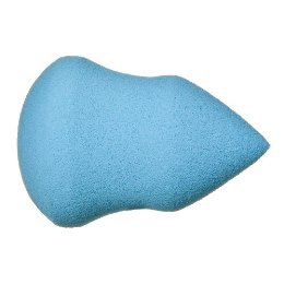 [blue+sponge.jpg]