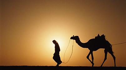 nomadic bedouins