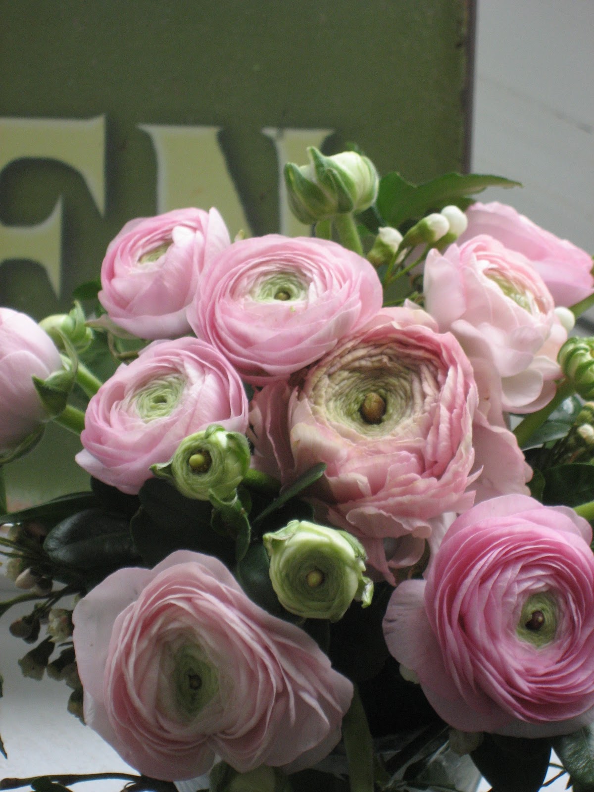livingseasons Eine meiner Lieblingsblumen Ranunkel!!!