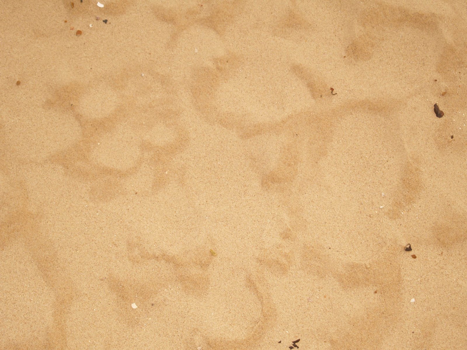 [TBTM20080121.jpg]