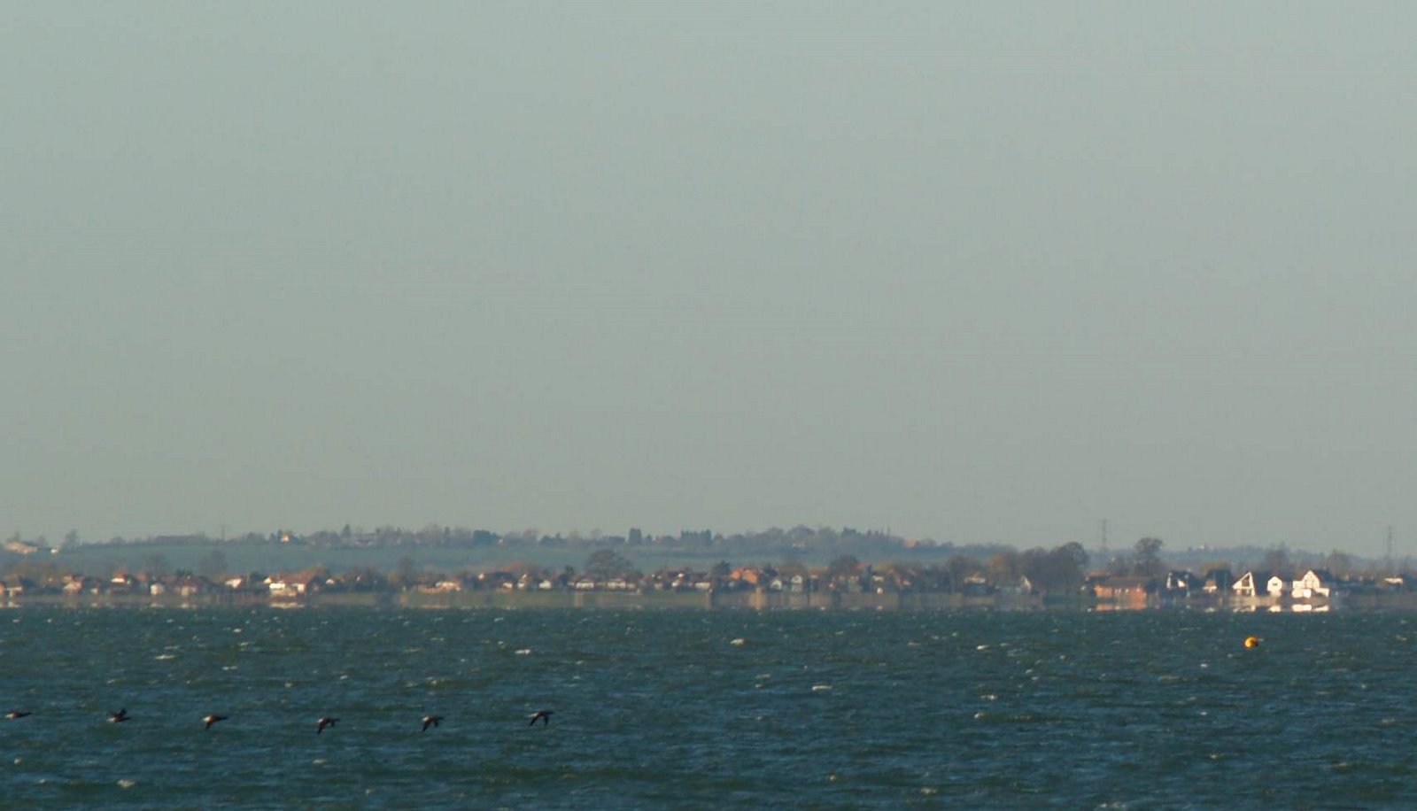 [TBTM20080303.jpg]