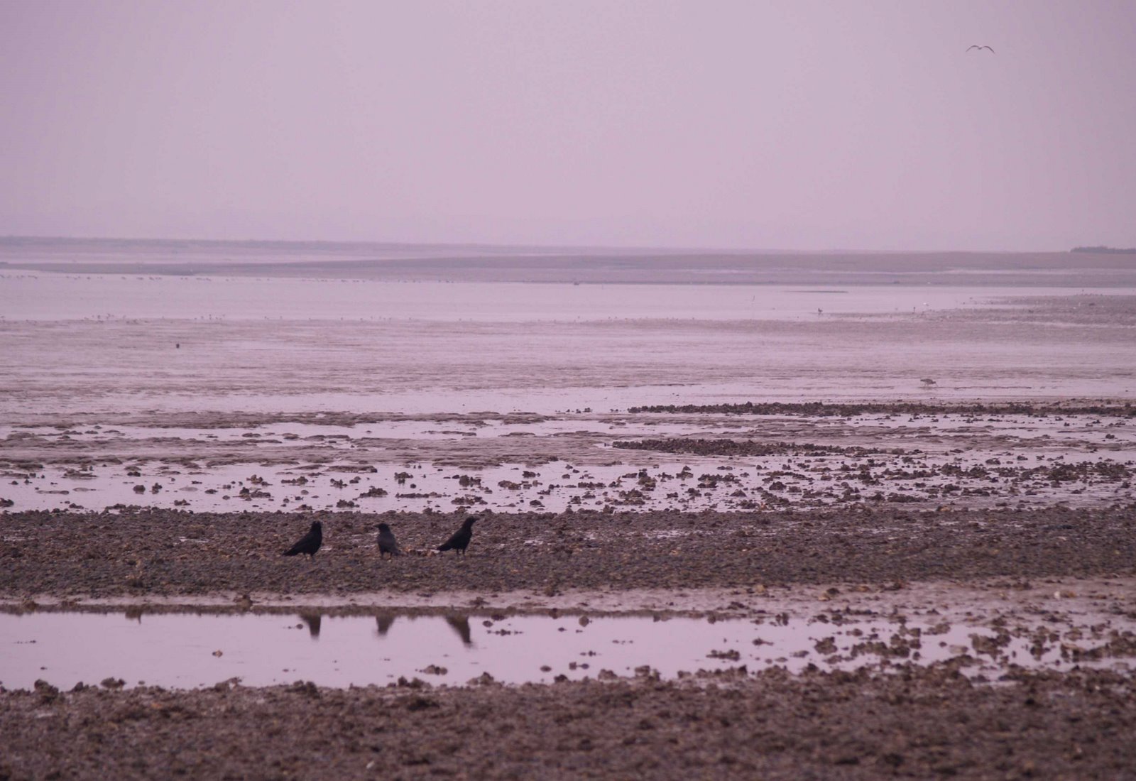 [TBTM20090213a.jpg]