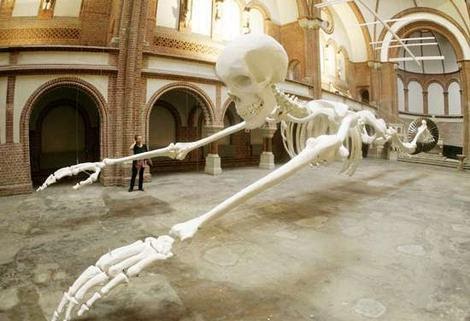 Unbelievable Facts: World's Largest (Bones) Human Skeleton