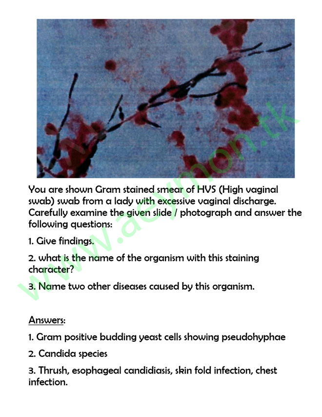 download Knowledge and Innovation in