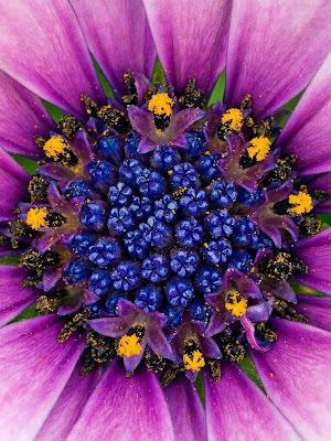 DIGALERI.com: 50+ Wallpaper Paling Keren untuk iPad Anda wallpaper ipad, ipad background, digaleri