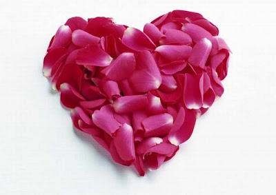 valentine day heart
