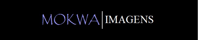 Mokwa Imagens