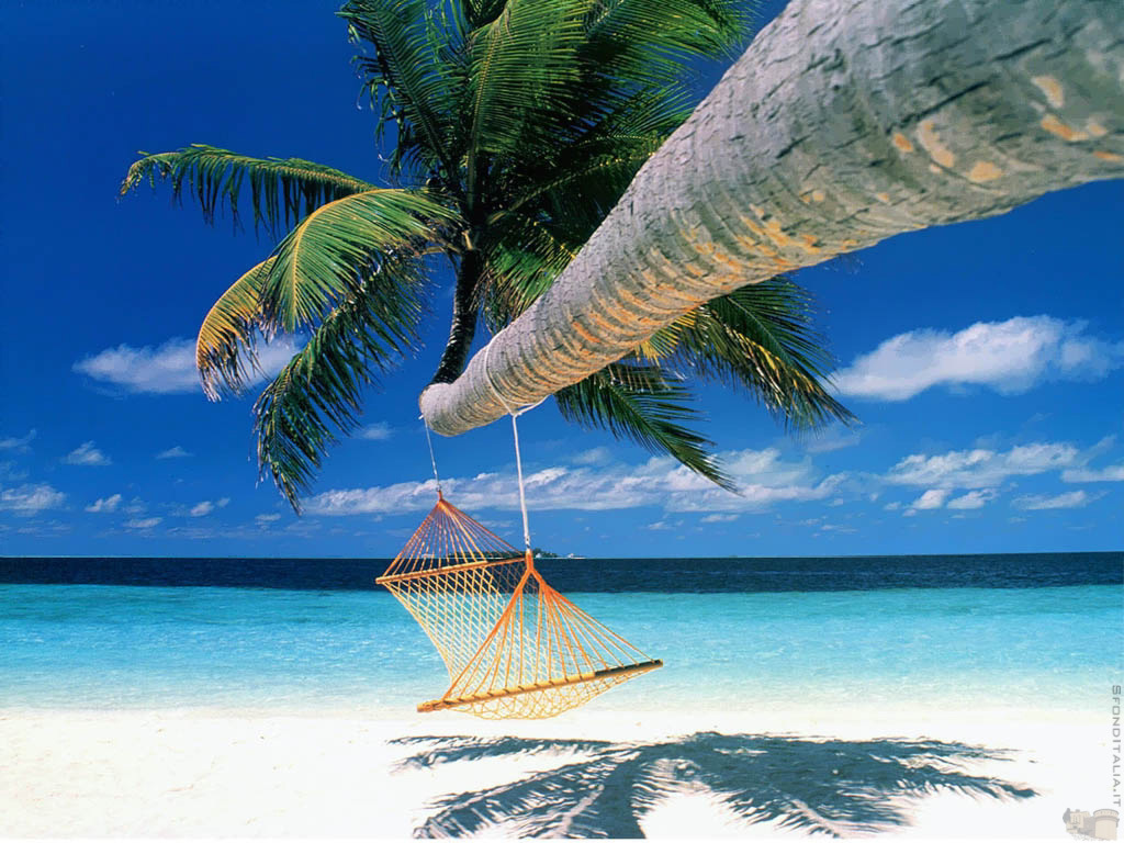 BeachHammock.jpg