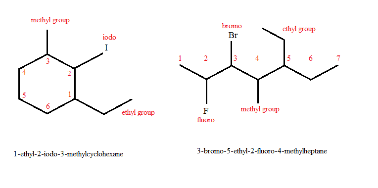 Alkenes and cycloalkenes have one or more carbon double bonds. 
