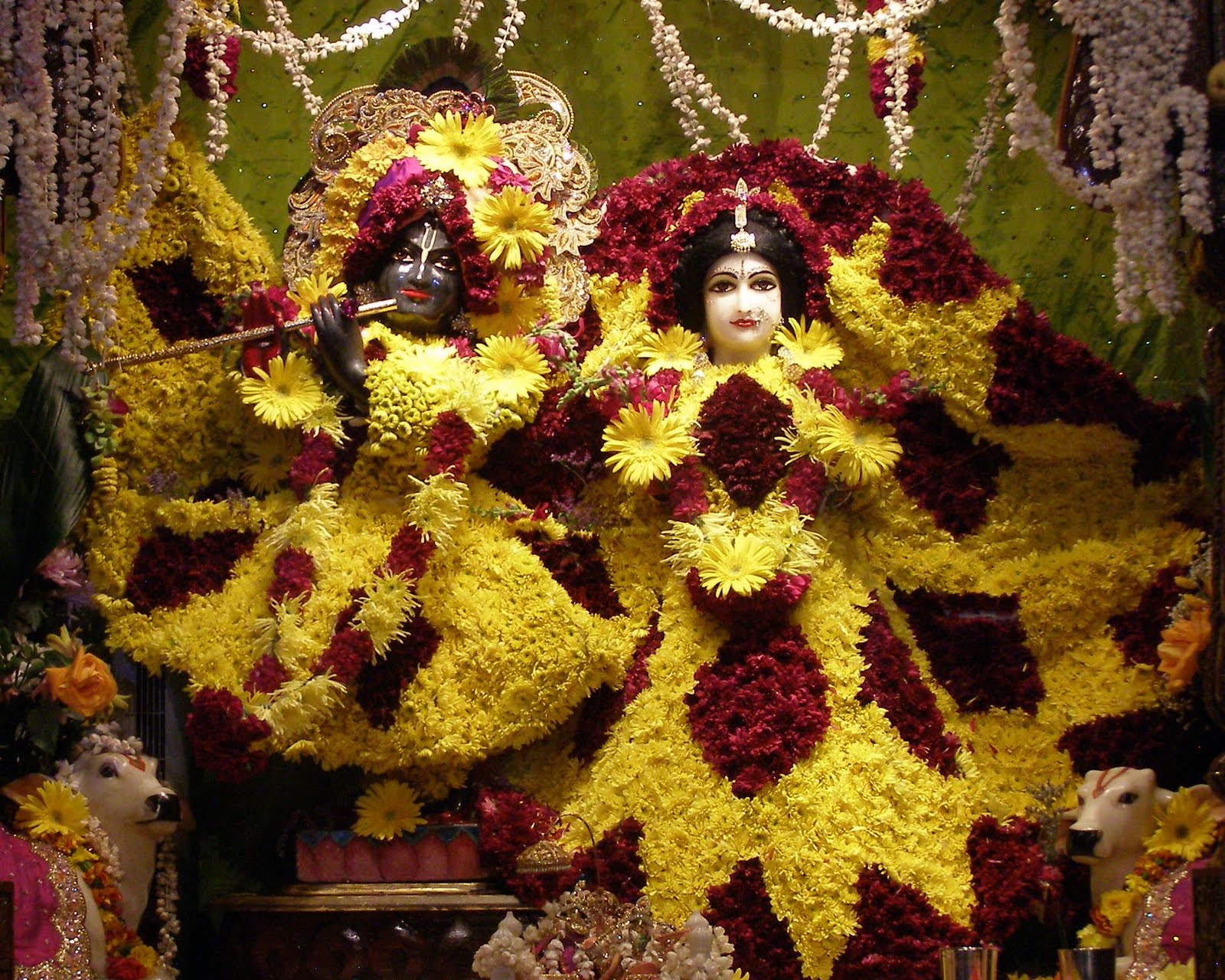 Krishna Darshan
