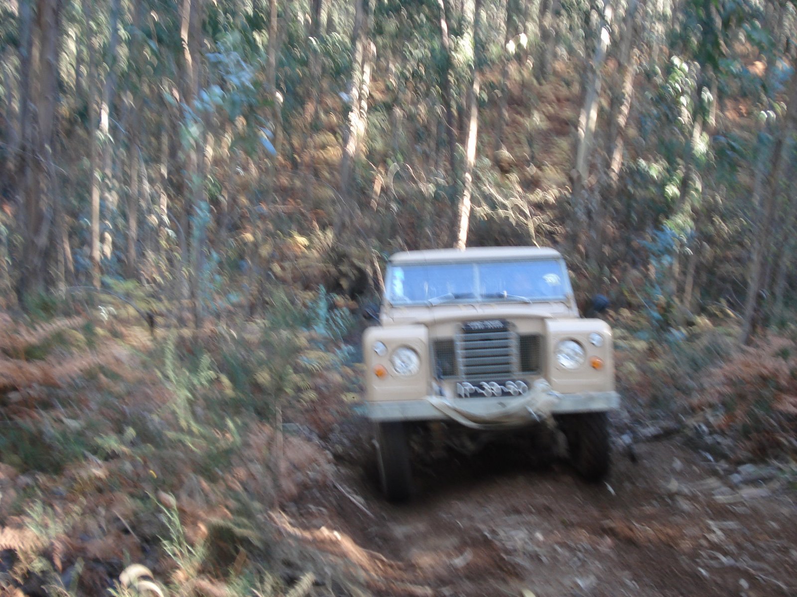 [DSC06988.JPG]