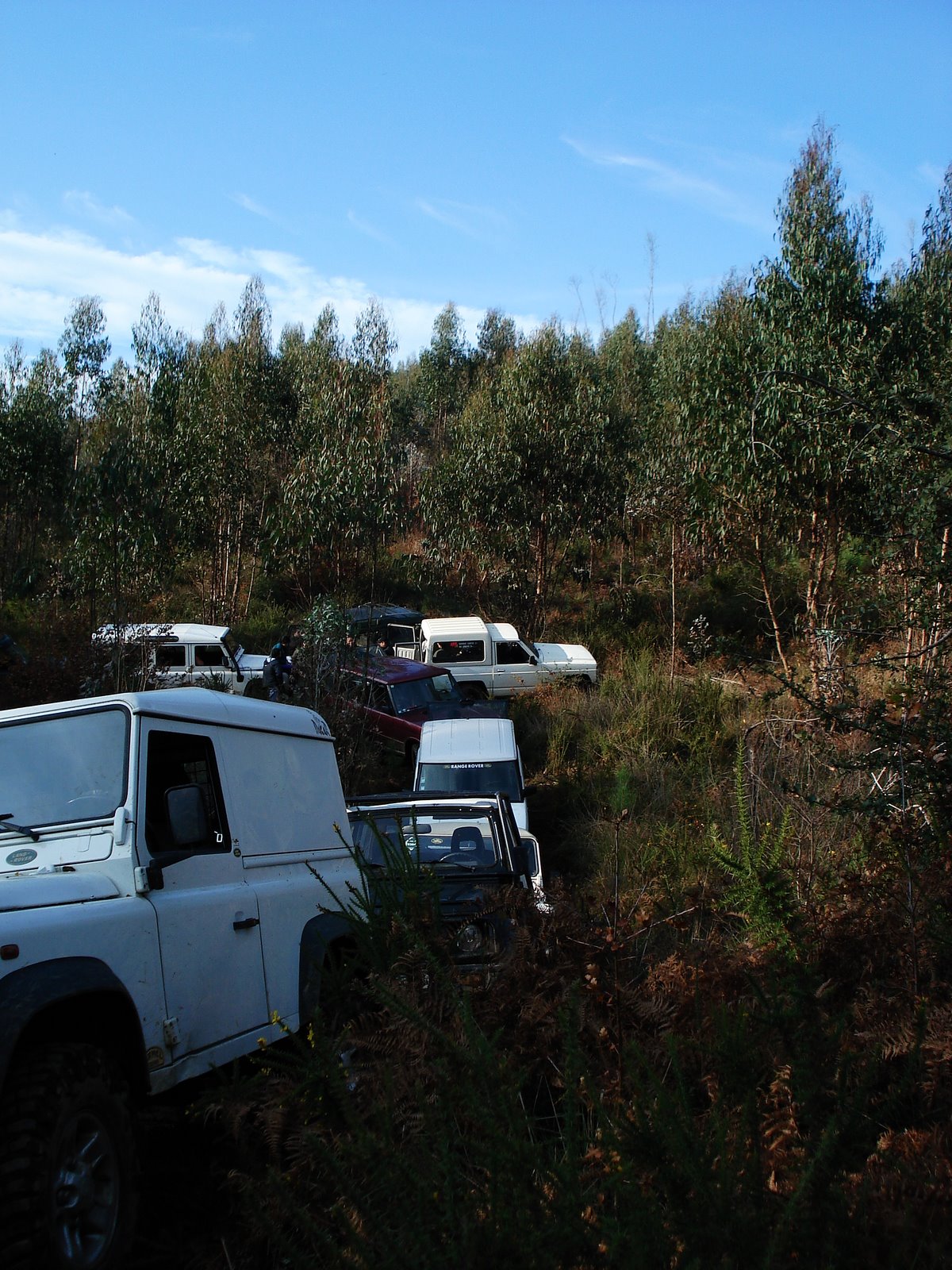 [DSC08735.JPG]