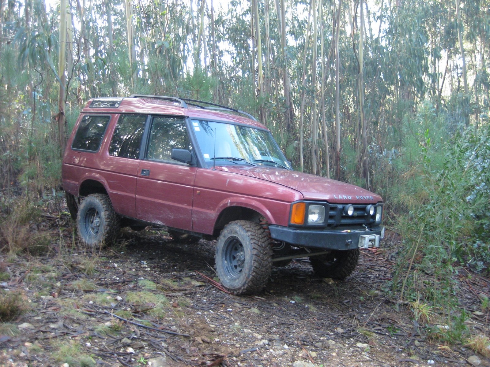 [IMG_0505.JPG]