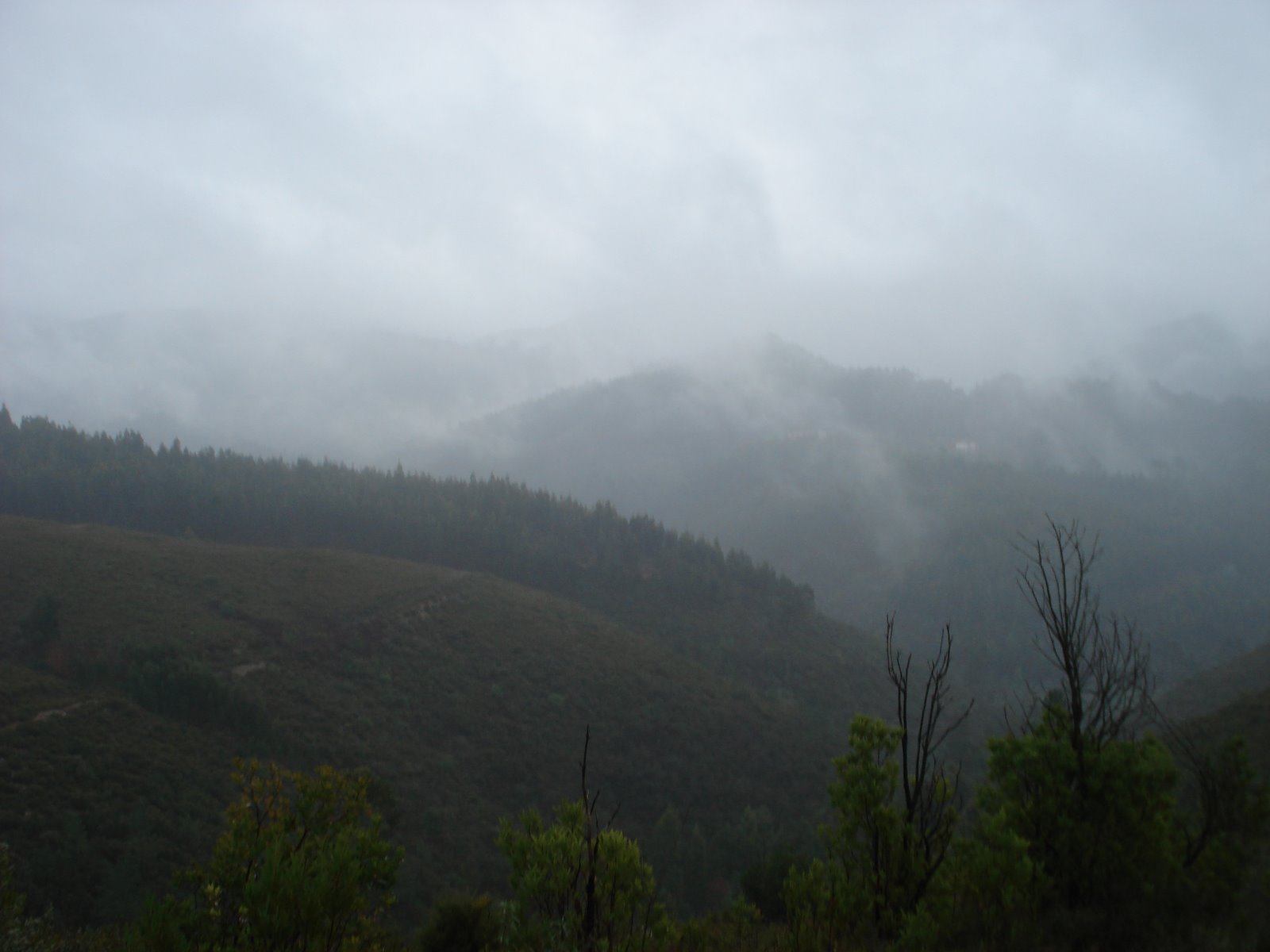 [DSC00158.JPG]