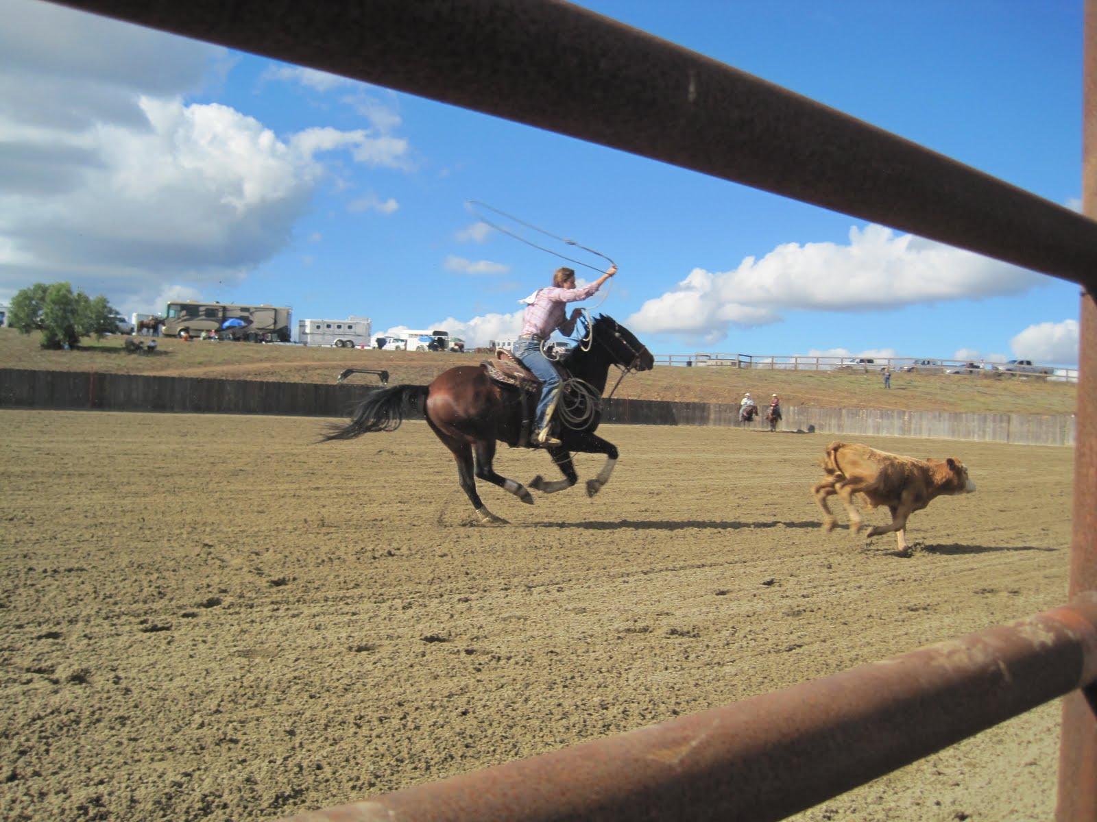 kp's round up Santa Ynez Rodeo