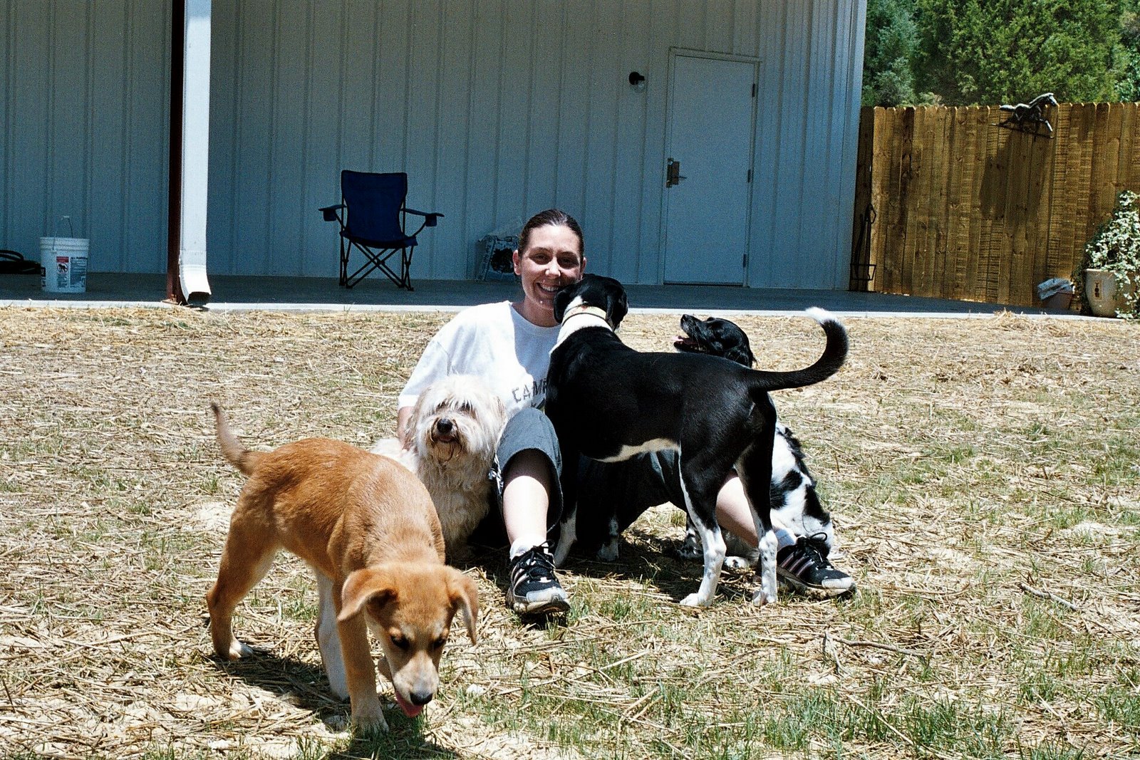 [Camp+Counselor,+Beth+Kelly,+with+canine+campers.jpg]