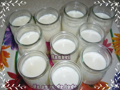 Yogurt Casero
