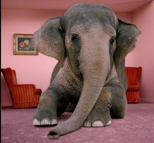 [elephant-living-room1.jpg]