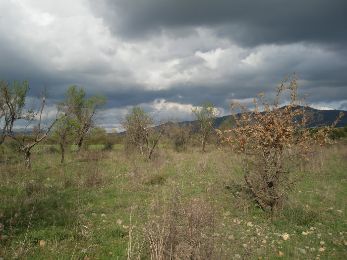 Τοπια του Ξηρομερου [ στα αμπελια , Μαχαιρα Ακαρνανιας]