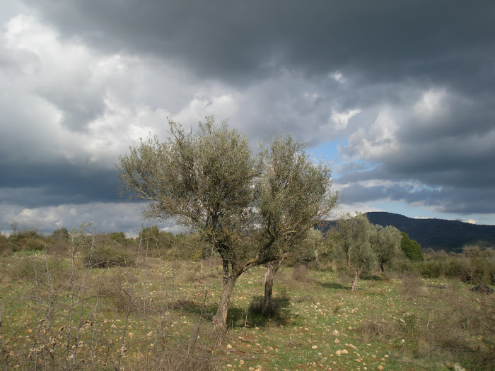 Τοπια του Ξηρομερου [ στα αμπελια ] Μαχαιρα Ακαρνανιας