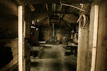 Shackletons Hut, Cape Royds