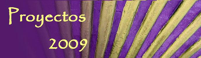 Proyectos 2009