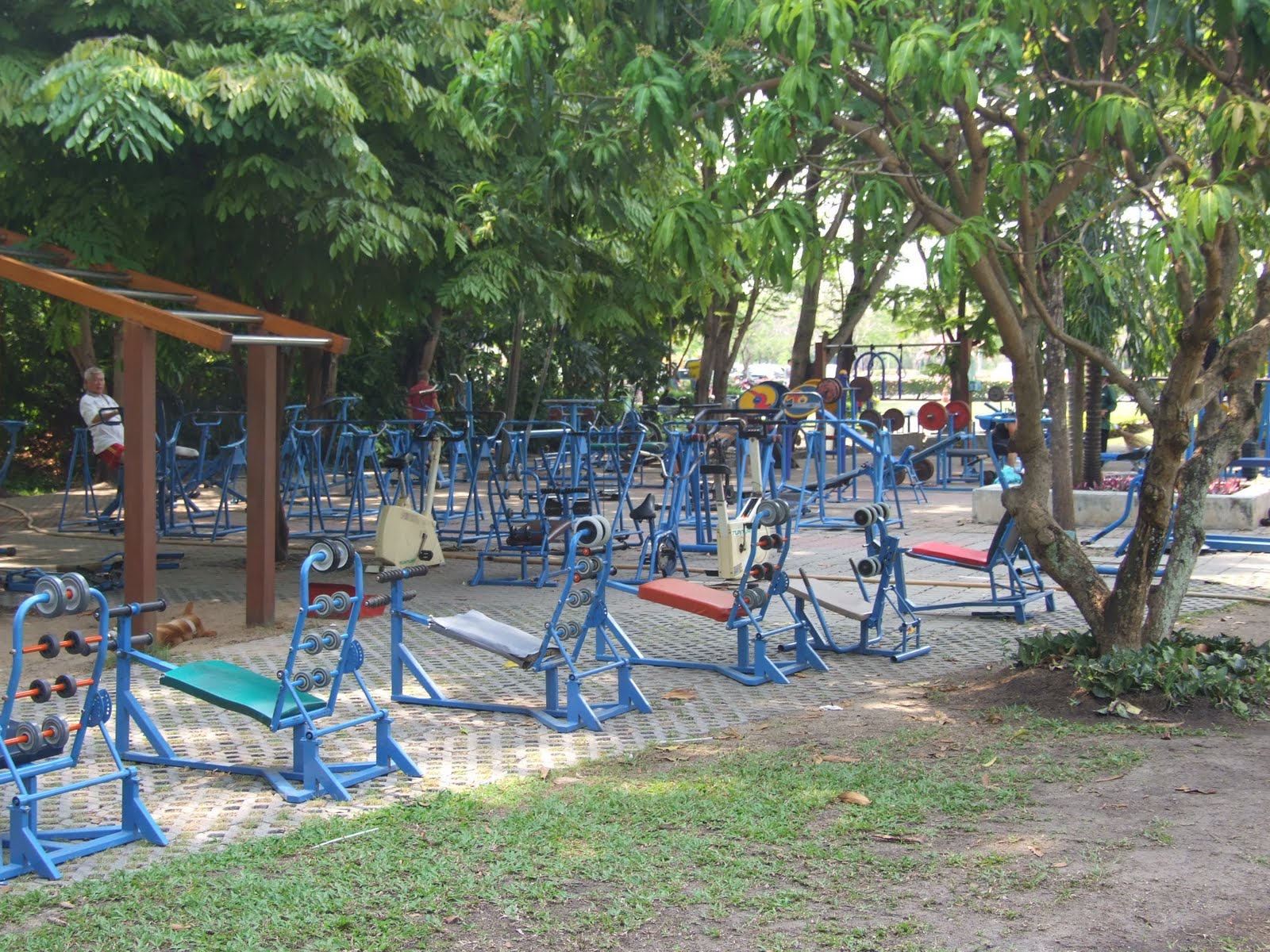 [DSCF5490.jpg]