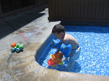 Playtime at the pool!